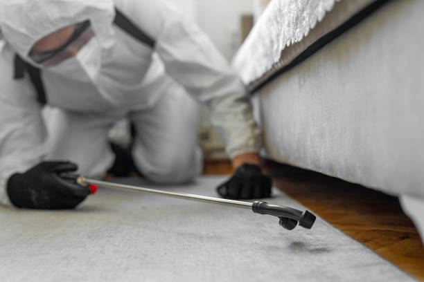Professional Pest Control technician working in Despard, WV