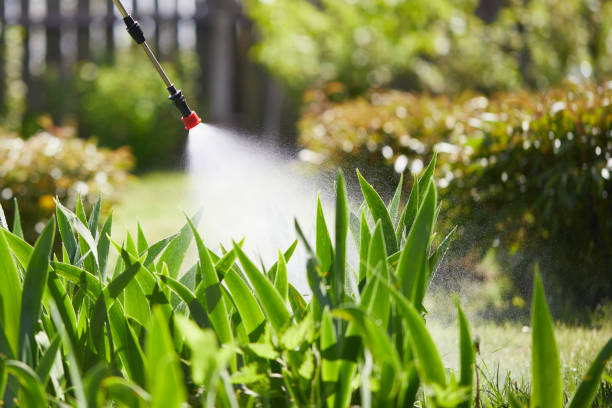 24/7 Emergency Pest Control experts in Despard, WV