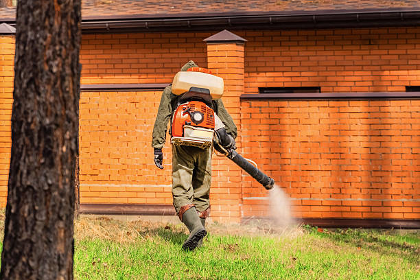Top rated local Pest Control specialists in Despard, WV